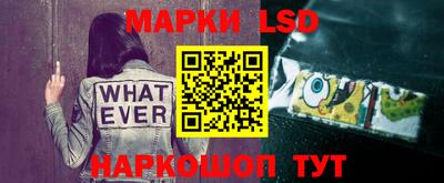 сатива Новокубанск