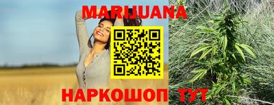 сатива Новокубанск