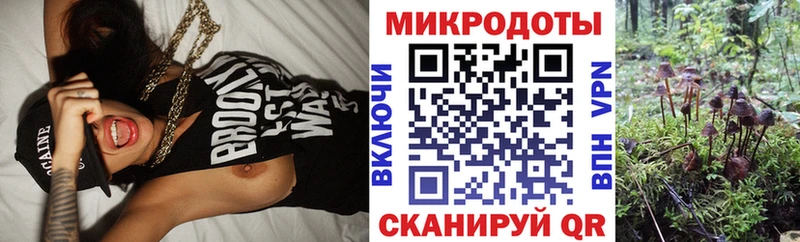 Галлюциногенные грибы прущие грибы Тулун