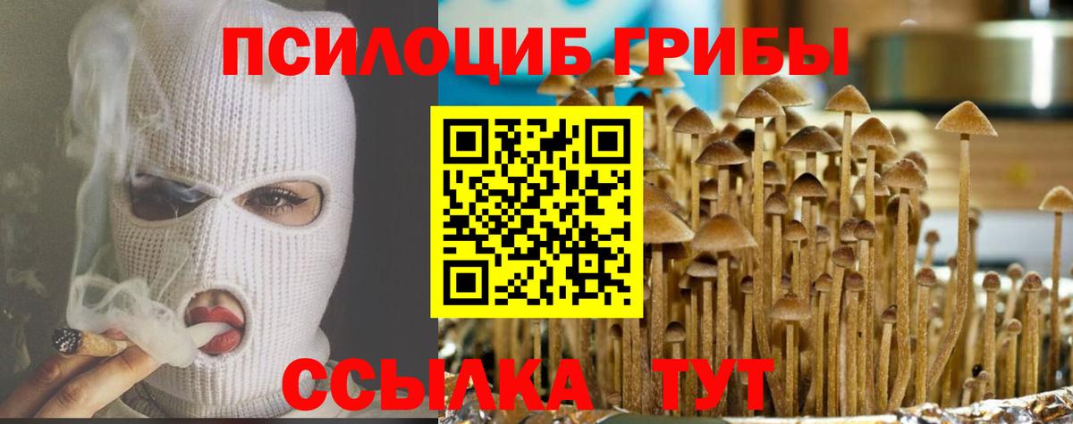 Псилоцибиновые грибы мицелий Тулун